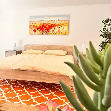 Villa House Vela Bol