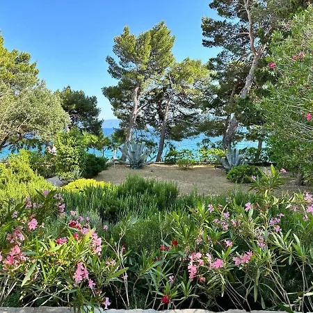 Villa House Vela
